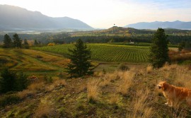 Baillie-Grohman Estate Winery -BC, Canada Baillie-Grohman Estate Winery -BC, Canada