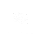 The Hills Cider Company